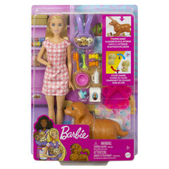 Kutsubeebide komplekt Barbie® HCK75 hind ja info | Tüdrukute mänguasjad | kaup24.ee