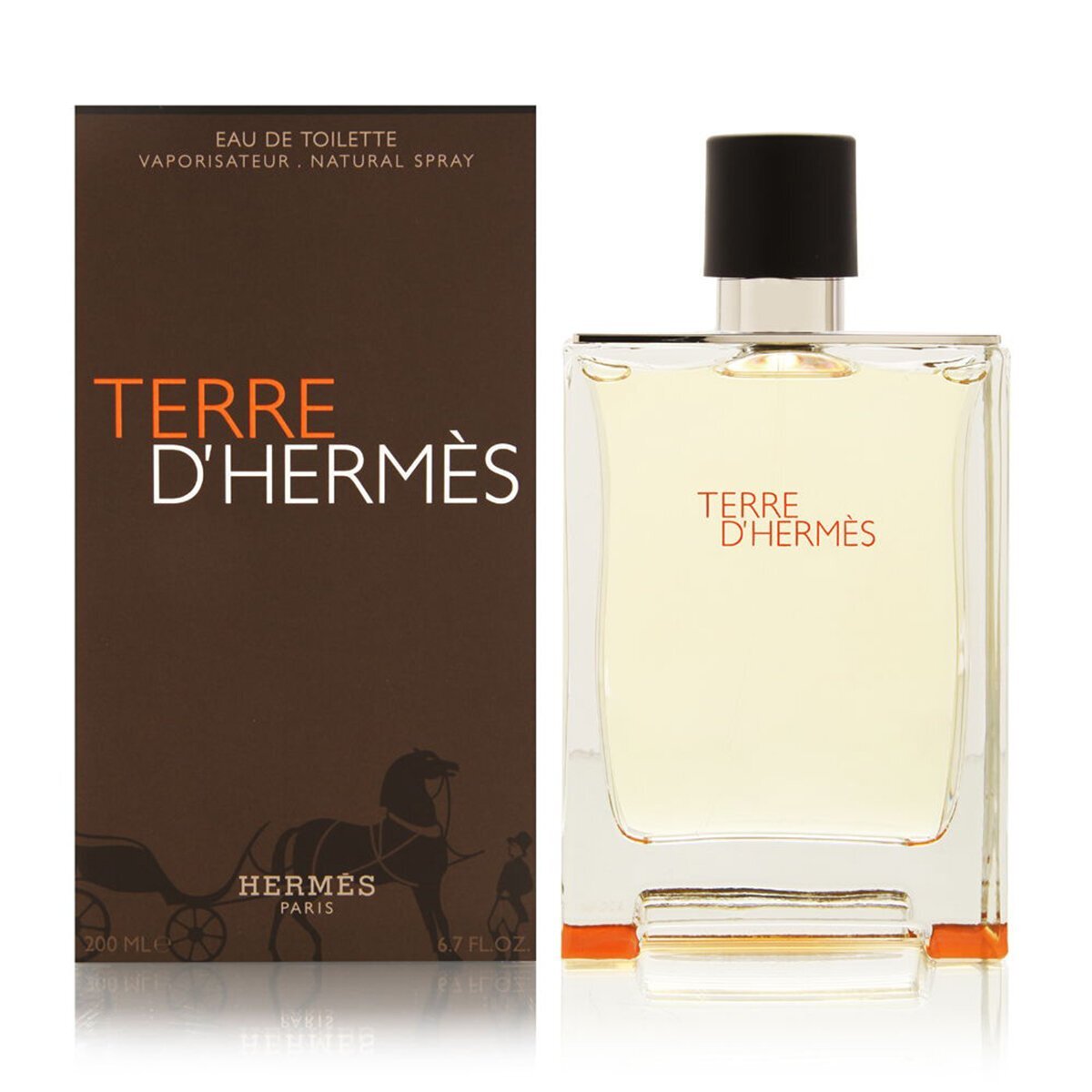 Эрмес парфюм мужской. Hermes Terre d'Hermes 100ml. Terre d'Hermes, 100 ml. Hermes Terre EDT 100ml. Hermes Terre парфюмерная вода 100 мл.