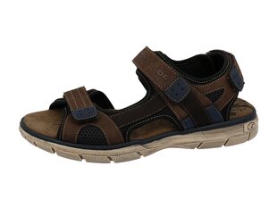 Tom Tailor meeste sandaalid, pruun hind ja info | Meeste plätud, sussid | kaup24.ee