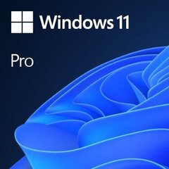 Microsoft Windows 11 Professional 64-bit OEM ENG hind ja info | Operatsioonisüsteemid | kaup24.ee