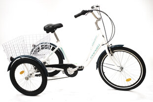 Kolmerattaline jalgratas Corelli Kanguroo 24", valge/sinine hind ja info | Jalgrattad | kaup24.ee