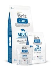 Kuivtoit koertele Brit Care Adult Large Breed Lamb & Rice 12 kg hind ja info | Kuivtoit koertele | kaup24.ee