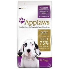 Applaws Puppy Large Breed, 2 kg hind ja info | Kuivtoit koertele | kaup24.ee