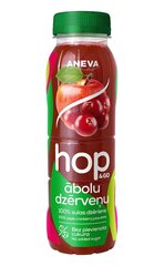 Õuna jõhvikamahla jook, 250 ml, Aneva hind ja info | Mahlad, nektarid | kaup24.ee