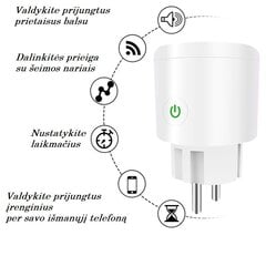 Nutikas pistikupesa Wi-Fi 20А, sh elektriga hind ja info | Lülitid ja pistikupesad | kaup24.ee