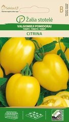 Tomat CITRINA hind ja info | Köögivilja-, marjaseemned | kaup24.ee