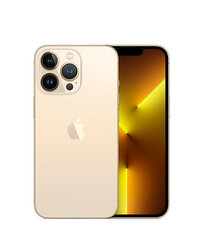 iPhone 13 Pro 1TB Gold (kasutatud, seisukord A) hind ja info | Mobiiltelefonid | kaup24.ee