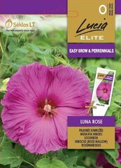 Soohibisk LUNA ROSE hind ja info | Lilleseemned | kaup24.ee