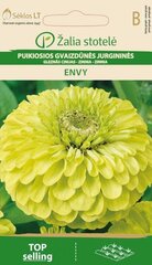 Pruudisõlg Envy hind ja info | Lilleseemned | kaup24.ee