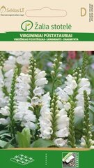 Virgiinia tonditupik valge hind ja info | Lilleseemned | kaup24.ee