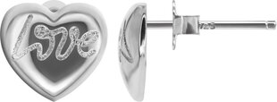Naiste hõbedased kõrvarõngad 33 Element 331617LE hind ja info | Kõrvarõngad | kaup24.ee
