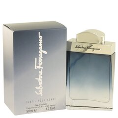 Tualettvesi Salvatore Ferragamo Subtil EDT meestele 50 ml hind ja info | Meeste parfüümid | kaup24.ee