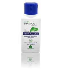 Kõõmavastane šampoon Natura House Pura Natura 250 ml hind ja info | Šampoonid | kaup24.ee