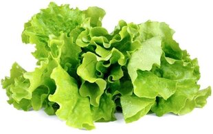 Click & Grow Smart Garden refill Lehtsalat 3tk hind ja info | Nutipotid ja seemned | kaup24.ee