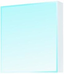 Vannitoa seinakapp peegliga Astor 7, 55 cm hind ja info | Vannitoakapid | kaup24.ee