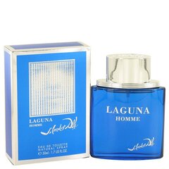Tualettvesi Salvador Dali Laguna Homme EDT meestele 50 ml hind ja info | Meeste parfüümid | kaup24.ee