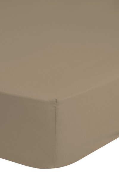 Puuvillane voodilina kummiga JERSEY Emotion 180x220 cm, pruun
