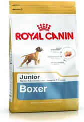 Kuivtoit Royal Canin noortele bokseritele Boxer Junior 12 kg hind ja info | Kuivtoit koertele | kaup24.ee