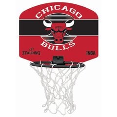 Minikorvpallilaud Spalding NBA Chicago Bulls 77-649Z hind ja info | Korvpallilauad | kaup24.ee