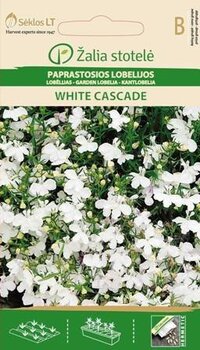 Aedlobeelia White Cascade hind ja info | Lilleseemned | kaup24.ee