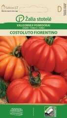 Tomat Costoluto Fiorentino hind ja info | Köögivilja-, marjaseemned | kaup24.ee