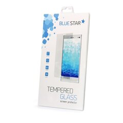 Karastatud kaitseklaas Blue Star telefonile Apple iPhone XS Max hind ja info | Ekraani kaitsekiled | kaup24.ee