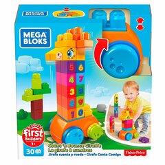 Mega Bloks komplekt „Kaelkirjak" Mega Bloks, 30 osaline, GFG19 hind ja info | Imikute mänguasjad | kaup24.ee