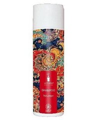 Looduslik kohevust andev šampoon Bioturm 200 ml hind ja info | Šampoonid | kaup24.ee