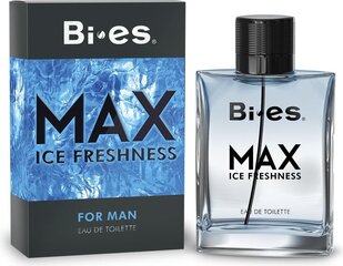 Tualettvesi meestele BI-ES Max Ice Freshness 100ml hind ja info | Meeste parfüümid | kaup24.ee