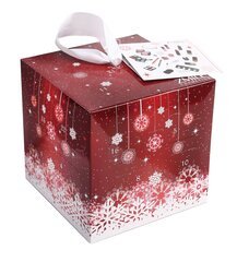 Рождественский календарь - косметический набор Zmile Cosmetics Cube Snowflake Red цена и информация | Рождественский календарь - косметический набор Zmile Cosmetics Cube Snowflake Red | kaup24.ee