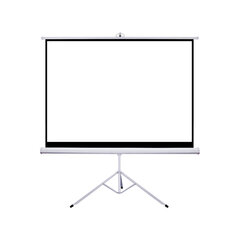 Projektori ekraan alusega Šilelis ET-1, diagonaal 255cm, 1:1 hind ja info | Projektori ekraanid | kaup24.ee