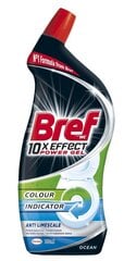 BREF WC 10XEFFECT puhastusvahend Ocean, 700ml hind ja info | Puhastusvahendid | kaup24.ee