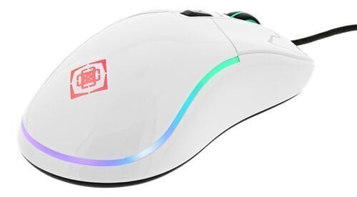 Juhtmega hiir Deltaco Gaming RGB GAM-085-W, valge hind ja info | Hiired | kaup24.ee