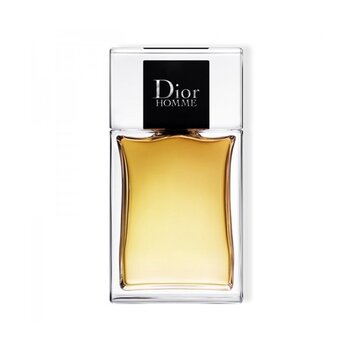 Raseerimisjärgne losjoon Dior Homme, 100 ml hind ja info | Meeste parfüümid | kaup24.ee