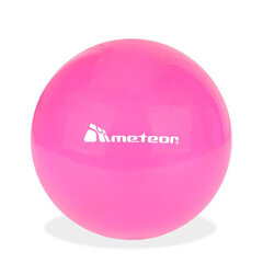 Pall Meteor Pink, 20 cm hind ja info | Võimlemispallid | kaup24.ee