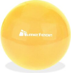 Võimlemispall Meteor 20 cm, oranž hind ja info | Võimlemispallid | kaup24.ee