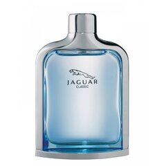 Jaguar New Classic EDT meestele 100 ml hind ja info | Meeste parfüümid | kaup24.ee