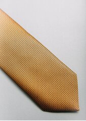 Pruun lips BRANCHESS hind ja info | Lipsud, kikilipsud | kaup24.ee