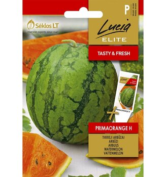 Arbuus Primaorange H Lucia Elite 1,0 g hind ja info | Köögivilja-, marjaseemned | kaup24.ee