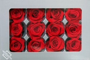 Stabiliseeritud Mini roosid 12 tk., punane hind ja info | Uinuvad roosid, taimed | kaup24.ee