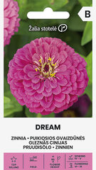 Tsinnia DREAM, lilla hind ja info | Lilleseemned | kaup24.ee