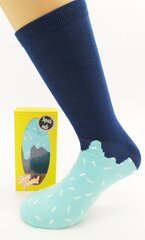 Popsicle socks sokid meestele hind ja info | Meeste sokid | kaup24.ee