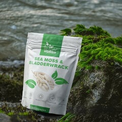 Toidulisand Raw Powders Sea Moss 250 mg & Bladderwrack 250 mg, 90 kapslit hind ja info | Vitamiinid, toidulisandid, preparaadid tervise heaoluks | kaup24.ee