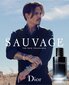 Christian Dior Sauvage EDT meestele 100 ml Internetist
