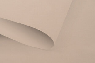 Valguskindel seinapealne ruloo Blackout 180x170 cm, pg-12 beež hind ja info | Rulood | kaup24.ee
