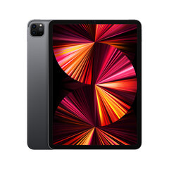 Apple iPad Pro 11" (2021) Wi-Fi+Cellular 256GB, Hall hind ja info | Tahvelarvutid | kaup24.ee