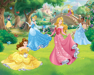 Fototapeet Disney Princess 43800 hind ja info | Lastetoa fototapeedid | kaup24.ee