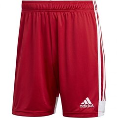 Meeste lühikesed püksid Adidas Tastigo 19 M DP3681, punased hind ja info | Meeste lühikesed püksid Adidas Tastigo 19 M DP3681, punased | kaup24.ee