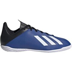 Jalgpalli puutsad Adidas X 19.4 IN JR EF1623, sinine hind ja info | Jalgpallijalatsid | kaup24.ee