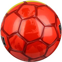 Jalgpalli pall Select, 5 suurus hind ja info | Jalgpalli pallid | kaup24.ee